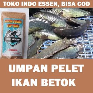 Umpan Pelet Ikan Betok Paling Ampuh Siap Pakai