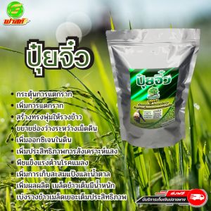 กระตุ้นการแตกราก แตกกอ สร้างทรงพุ่ม เม็ดข้าวเต็ม มีน้ำหนัก ปุ๋ยจิ๋ว1ถุง เพิ่มประสิทธิภาพการสังเคราะห์แสง เบ่งรวงข้าวเมล็ดเยอะเต็มประสิทธิภาพ