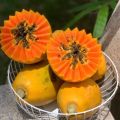 50 Seeds Sweet Cream Papaya Seeds Bonsai Papaya Seeds for Planting Vegetable Plants Dwarf Papaya Seeds Heirloom Variety Red Baby Papaya Plant Seed Papaya Fruit Seeds Papaya Tree Seeds Bonsai Tree Live Plant Dwarf Fruit Trees Seedlings Vegetable Plants. 