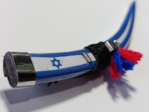 Bayna Israel Flag design