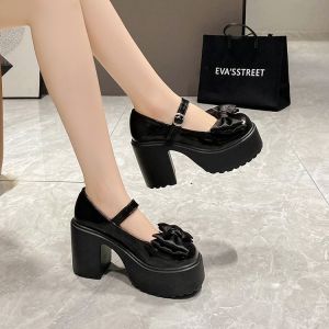 รองเท้าหนังแมรี่เจน ส้นสูง ส้นหนา ประดับโบว์ ขนาดเล็ก แฟชั่นฤดูใบไม้ผลิ สไตล์ฝรั่งเศส สําหรับผู้หญิง