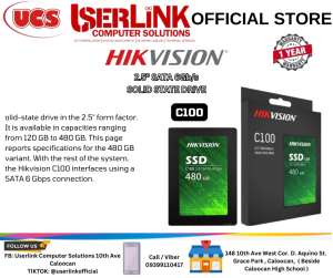 HikVision C100 480GB SATA 2.5