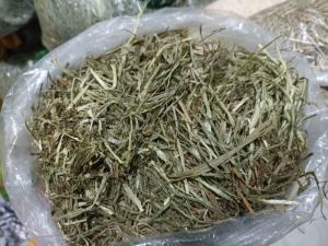 Rumput Daily Timothy 100gr Hay Best Choice 100% Organic Makanan Kelinci