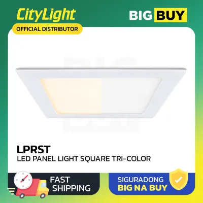 CityLight - LED Panel Light Recessed Square Type - 3 Watts - Tri-Color