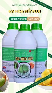 Ra Hoa Mít FUJI 1L phân bón vi lượng sinh học