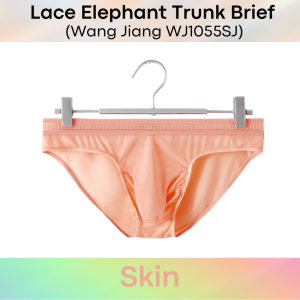 Mens Brief: Ice Silk Lace Waistband Brief with Elephant Trunk Pouch (WJ1055SJ)