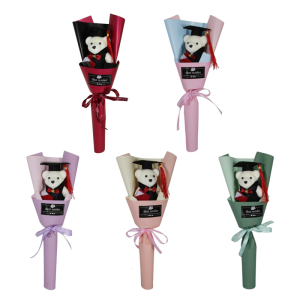 Graduation Bear Bouquets for Graduates Student Teacher Cartoon Doctor Bear Bouquets for Graduation Back to School Day