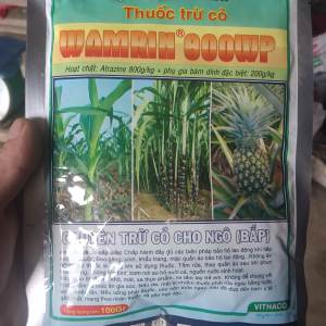 THUỐC CHUYÊN CỎ NGÔ BẮP CHỌN Lọc WAMRIN 800WP