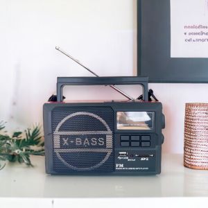 Radio Portable FM USB SD Card Auto Scan Shining Star SS104