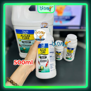Vi Sinh API ALGAE CURE POND - Vi sinh ăn tảo Sống làm trong nước khử NO3 & PO4 (HÀNG CTY)