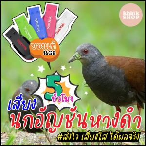 เสียงต่อนกอัญชันหางดำ เมมเสียงนกอัญชันหางดำ แฟลชไดร์ฟเสียงต่อนกอัญชันหางดำ มีเก็บเงินปลายทาง