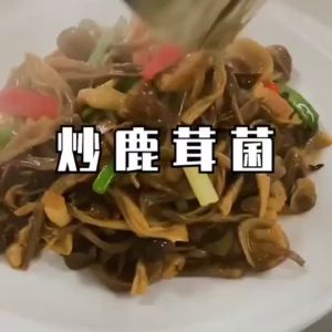 现货热销！鹿茸菇鹿茸菌新货菌菇鹿茸菇干货无碎福建特产鹿茸菇香菇干货无硫fcvyhujn