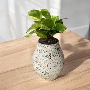 แจกันดินเผาทรงไหปากตัดจิ๋ว สีวินเทจเก่า ๆ ขนาด 18 x 23 cm.