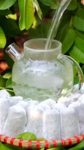 Trà lá ổi giảm cân trà túi lọc búp ổi hỗ trợ giảm mỡ bụng nhuận tràng làm đẹp da tiện sử dụng