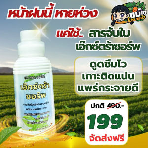 สารจับใบ เอ๊กซ์ตร้าซอร์พ ดูดซึมดีเกาะแน่น ลดต้นทุนปุ๋ย ปรับสมดุลพืชให้แข็งแรง สารจับใบเข้มข้น 1ลิตร