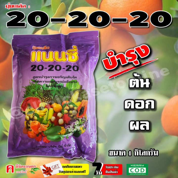 🌾 7 สุดยอดปุ๋ยและฮอร์โมนพืชที่ดีที่สุดปี 2025 เพื่อสวนสวยพืชผลดก!