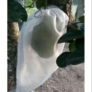 Túi cước  Thái bọc  mít Thái siêu bền 50x70cm