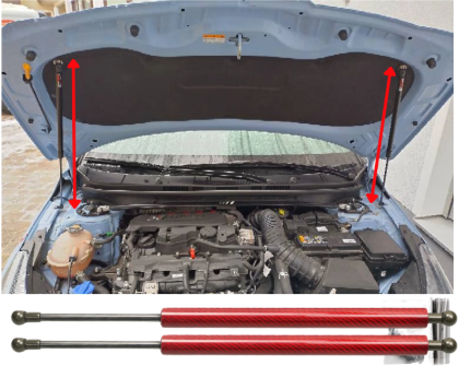 TSUBASA Lift Supports For Honda S2000 (AP2) 2003-2009 Front - View #8