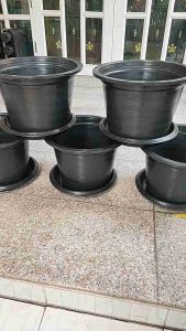 เซ็ทกระถางพร้อมจานรอง 15 นิ้ว แพ็คละ 5 ชุด