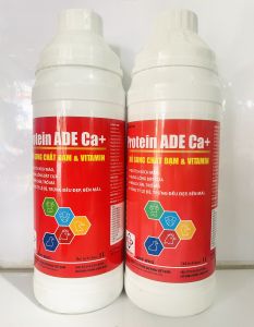 Daeyong Protein ADE Ca ( 1 lít ) Đỏ tích kích mào bung lông bật cựa nở ức dày mình dùng trong Thú Y