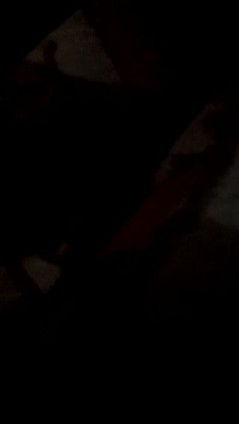 Buyer review video 3