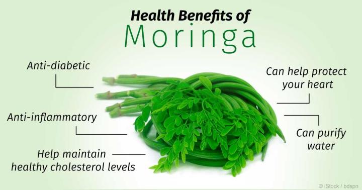 Malunggay%20powder%201%20kilo%20(Moringa)%20-%20Image%202