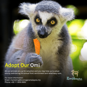 Zoo Negara - Adopt our Omi