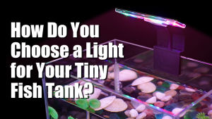 Senzeal M-180 Aquarium Light High Brightness LED Color Alternating Light 220V 5W 550LM for Less than 12Inch Fish Tank Black