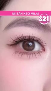 MILAI S21 Lông mi giả tự dính không cần keo sợi dẹt nâng cấp 80 chùm mi phân đoạn mềm nhẹ tự nhiên dễ dùng cho người mới