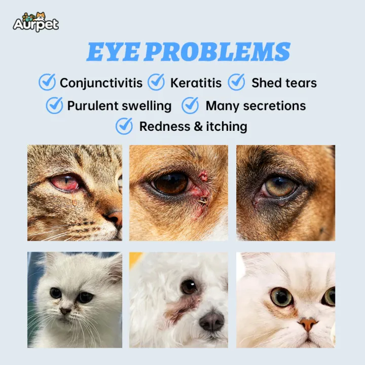 Aurpet%20Tetes%20Mata%20Hewan%20Atasi%20Konjungtivitis%20Keratitis%20Belek%20Kemerahan%20Gatal%20Kucing%20&%20Anjing%20-%20Image%202