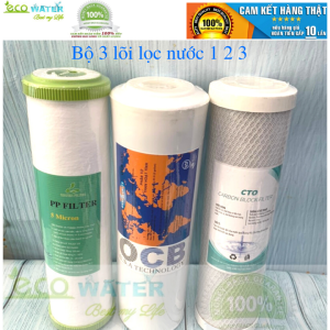 [Tặng kèm tay vặn cốc] Combo lõi lọc nước 123 - T33