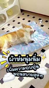 ผ้าห่มสัตว์เลี้ยง ผ้าห่มกำมะหยี่ ขนแกะหนานุ่มห่มสบาย ผ้าห่มสุนัข ผ้าห่มแมว ที่นอนสุนัข ที่นอนแมว