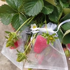 JOMEY 100pcs Mesh Grapes Fruit Grow Bags Generic Breathable Plant Grow Bag Multifunctional White Fruit Pockets For Pest Control Anti-Bird