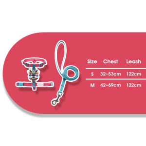 Pet Harness Leash Set H Design Cat Harness Small Dog Harness Lightweight Leash With Mythical Beast Charm
