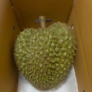 ทุเรียนหมอนทอง เนื้อหวานหอม มัน อร่อย กรอบนอกนุ่มใน จัดส่งทั้งลูก