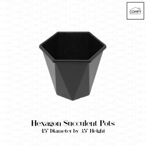 One Dozen (12pcs) 4.5 Inches Hexagon Succulent/Corrugated Flower Pots Mini Cactus Diamond Pots