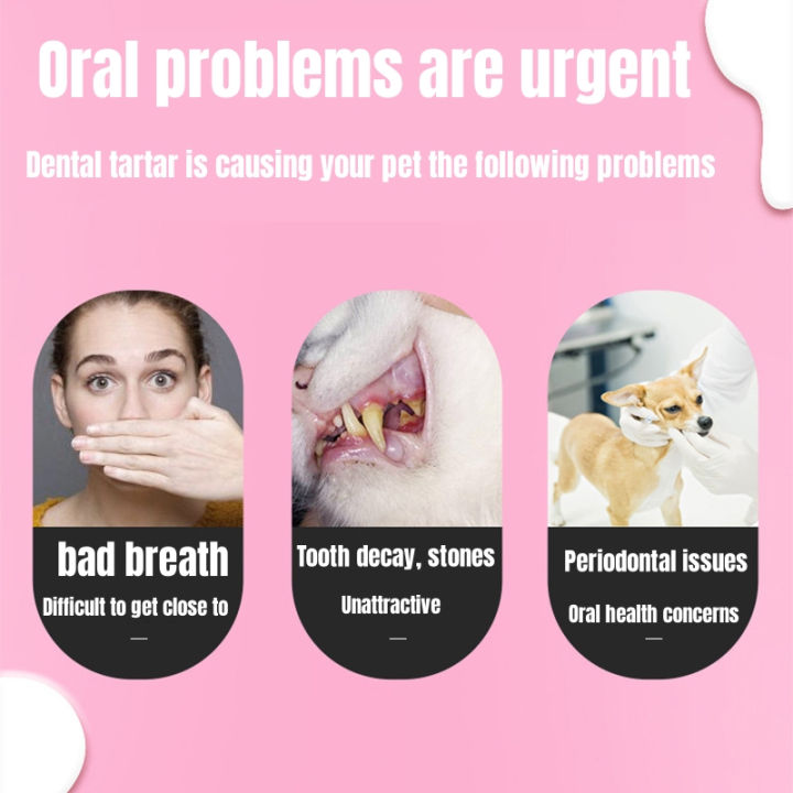 %E3%80%90Blue%20Petz%E3%80%91Pet%20Toothbrush%20&%20Toothpaste%20Cat%20&%20Dog%20360%20%C2%B0%20Teeth%20Cleaning%20Care%20Set%20universal%20Preventing%20Cavities%20-%20Image%209
