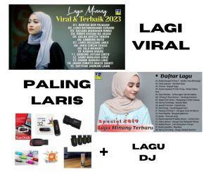 MURAH... FLASHDISK ISI LAGU MINANG MP3 DAN MP4
