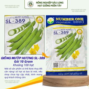 GÓI 10G [khoảng 100 hạt]  HẠT GIỐNG MƯỚP HƯƠNG SL 389 NUMBER ONE