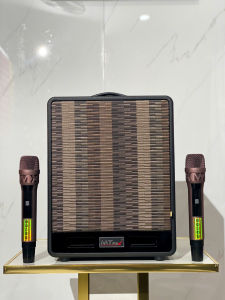 Loa karaoke xách tay siêu hay  MTMAX DK05  Loa Di Động Trang Bị 2 Bass 2 Treble Đầy Đủ Kết Nối Bluetooth HDMI Optical Cổng Guitar Cổng Micro TF  Bảo Hành 12 Tháng