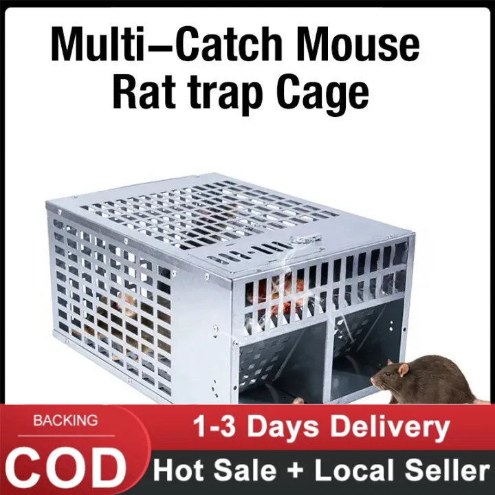 Mice Catching Box Mouse Catching Artifact Double Door Mouse Catching Cage Efficiently ...