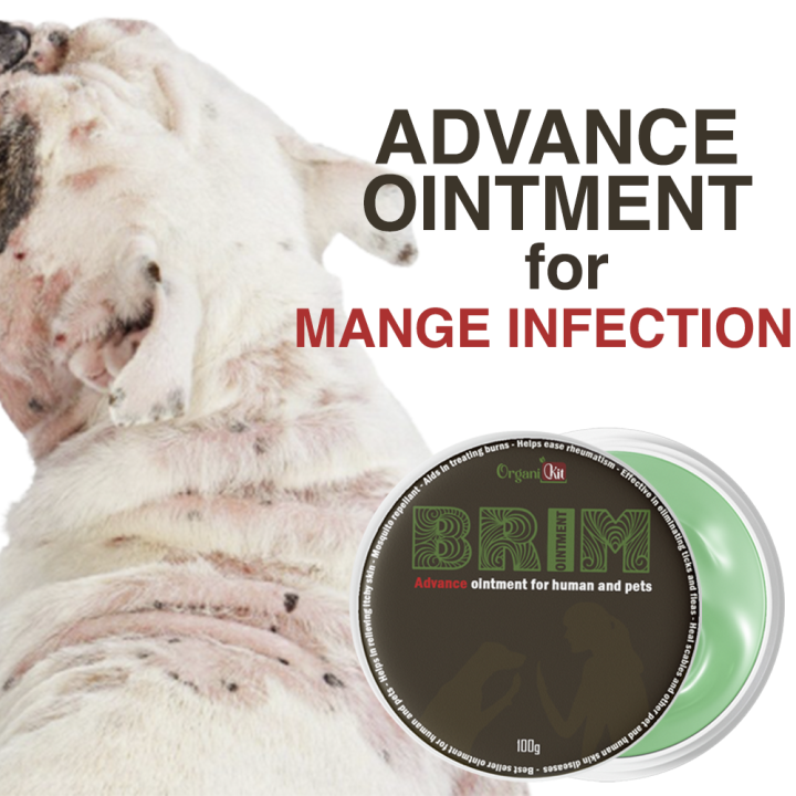 BRIM ADVANCE OINTMENT FOR MANGE AND SCABIES Mange treatment for