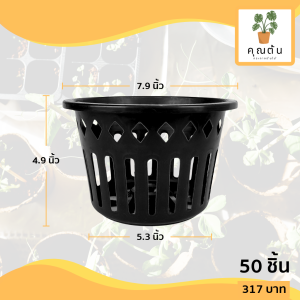 กระถาง กระถางกล้วยไม้ กระถางแขวน กลม 8 นิ้ว สีดำ 50 ใบ ชิ้น อัน