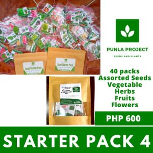 Seed Starter Pack  package of assorted vegetable herbs flowers and fruits seeds
