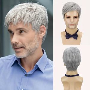 JON09 Heat Resistant Mens Synthetic Wigs Gray and White Cosplay Short Straight Wig Fake Hair Natural Fashion Mens Short Hair Nightclub Bar