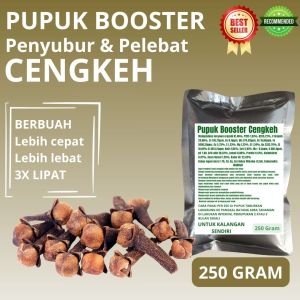 Pupuk Booster Cengkeh / Obat Booster Cengkeh / Pupuk Booster Cengkeh / Pupuk Cengkeh
