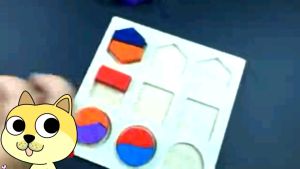 Montessori Geometric Shape Color Puzzle Sorting SorterToy Fine Motor Skill Hand-Eye Coordination -T025