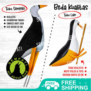 SEMPATI Patung Jontrot Pemikat Burung Ruak Kareo Wakwak Truwok Patung Decoy Boneka Alat Pikat Jerat Umpan Burung Sawah