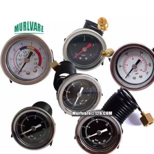 4Bar 6Bar 8Bar 16Bar 20Bar Y40 G1/4" G1/8" Internal External Thread Coffee Maker Gauge Steam Boiler Iron Case Capillary Gauge