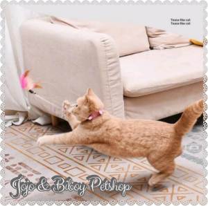 Kalung Mainan Bulu Interaksi Kucing Cat Teaser Stick Pet Toys